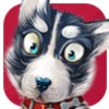 Dog Match Memory Quiz icon