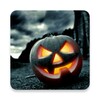 Halloween Wallpapers icon