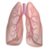 Asthma Tracker & Log (free) icon