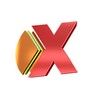 X Calota Brasil icon