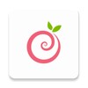 Pinkberry 아이콘