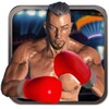 Real 3D Boxing Punch icon