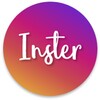 Inster icon