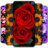 Icon von Flowers Wallpaper