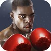 2. Punch Boxing 3D icon