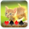 Kitten Solitaire simgesi