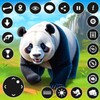 Panda Game: Animal Games icon