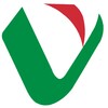 Italian Verb icon