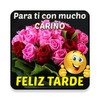 Icono de Imágenes Buenas Tardes