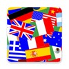 The Flags of the World icon