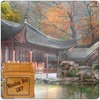 Misty Chinese Garden Wallpaper icon