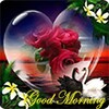 Good Morning Flowers icon