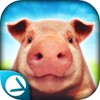 Pig Simulator icon