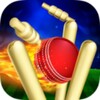 RunOut Master - Cricket World Cup 2019 icon