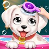 Labrador Puppy Daycare icon