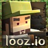 Икона looz.io