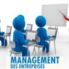 Icône Management des organisations