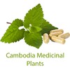 ANT Khmer Medicinal Plant 2016 icon