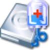 DiskInternals FAT Recovery icon