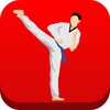 Taekwondo Workout At Home icon