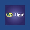 Seeliga icon
