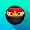 Fun Ninja Game - Cool Jumping icon