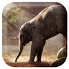 أيقونة Elephant Sounds