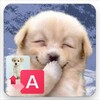 Translate for Dogs icon