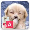 Translate for Dogs 图标