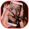Spider On Body/Face Prank Cam icon