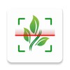 Plant Identifier- Plant Finder icon