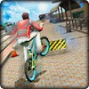 True BMX Fever 3D 图标