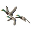 Икона Waterfowler: Mallard Hunting