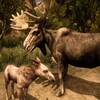 Ultimate Moose Simulator icon