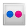 DownFlickr icon