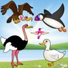 Икона Birds Game for Toddlers