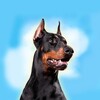 Doberman Dog Simulator icon