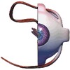 Icon von Eye