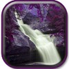 Фиолетовая природа icon