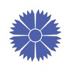 Belavia icon