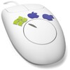 ShareMouse icon