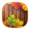 Ícone de Autumn Time Free Live Wallpaper