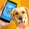 أيقونة Dog Phrasebook Translator