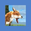 Clan of Fox icon