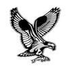 Fish Hawk icon