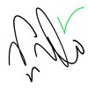 Draw Signature icon