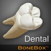 Dental - Lite icon