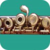 Icon von HowToPlay Flute