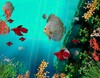 Coral Reef Aquarium 3D Animated Wallpaper icon