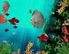 Coral Reef Aquarium 3D Animated Wallpaper 图标